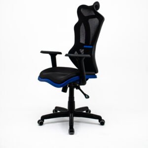 Cadeira Escritório Presidente Gamer Vizon DZ Plaxmetal Relaxsystem Preta/Azul