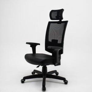Cadeira Presidente Ergonômica Flash Plaxmetal NR17 Couro Ecológico  Back System, Braços Reguláveis e Apoio de Cabeça